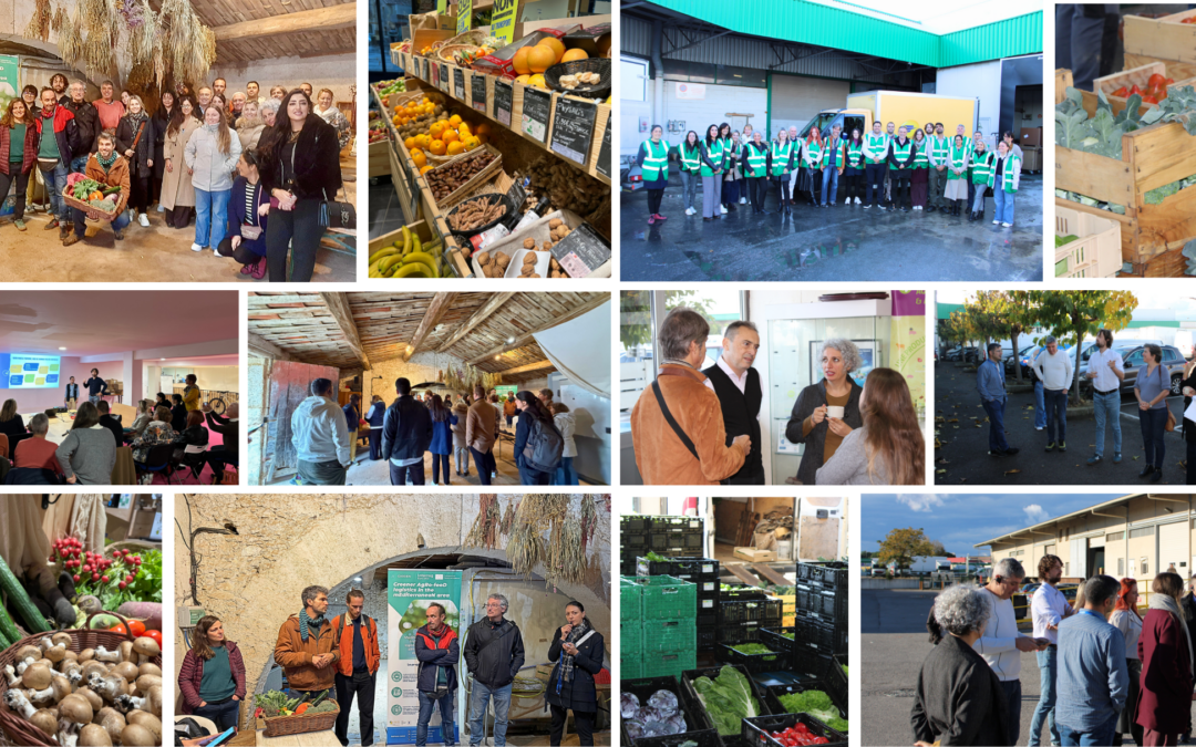 Successful GARDEN Steering Committee Meeting Held in Montpellier